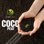 Coco Peat Fertilizer