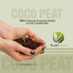 Coco Peat Fertilizer